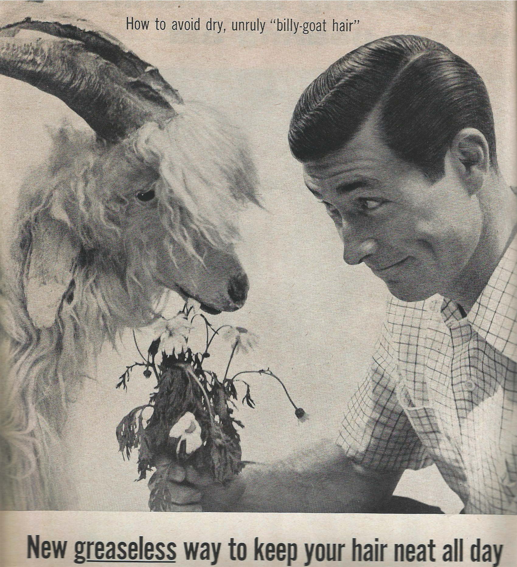Vintage grooming ads